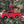 Load image into Gallery viewer, Wood Truck Ornament