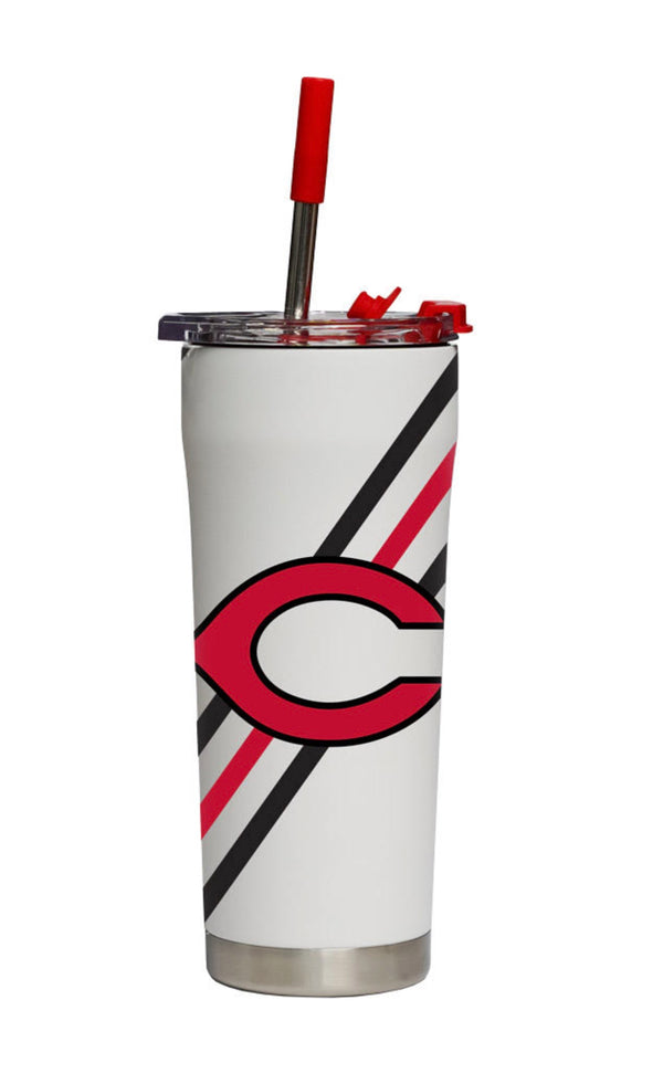 20oz Camas Stainless Straw Tumbler