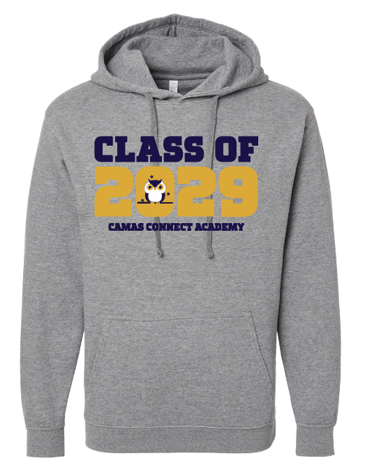 Adult CCA Class of 2029 Hoodie