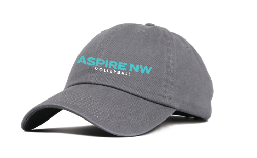 Aspire Dad Hat