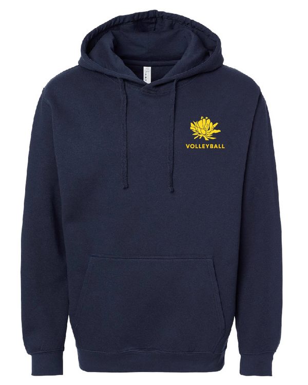 Unisex Punahou VB Pa'ani Hoodie