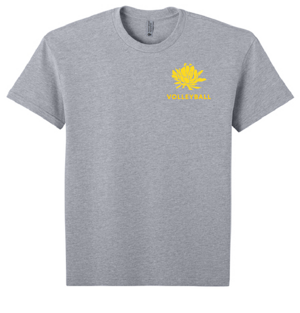 Unisex Punahou VB Pa'ani HEAVYWEIGHT Tee